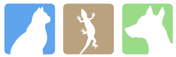 Clinique Vétérinaire de l'Arche